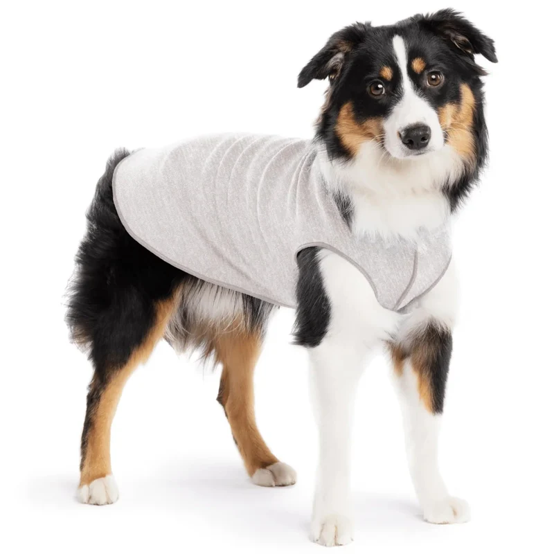 Goldpaw Chemise Soleil pour Chien – Protection UV UPF50+ Léger et Rafraîchissant (Pebble) – Fabriqué aux États‑Unis – Taille 14