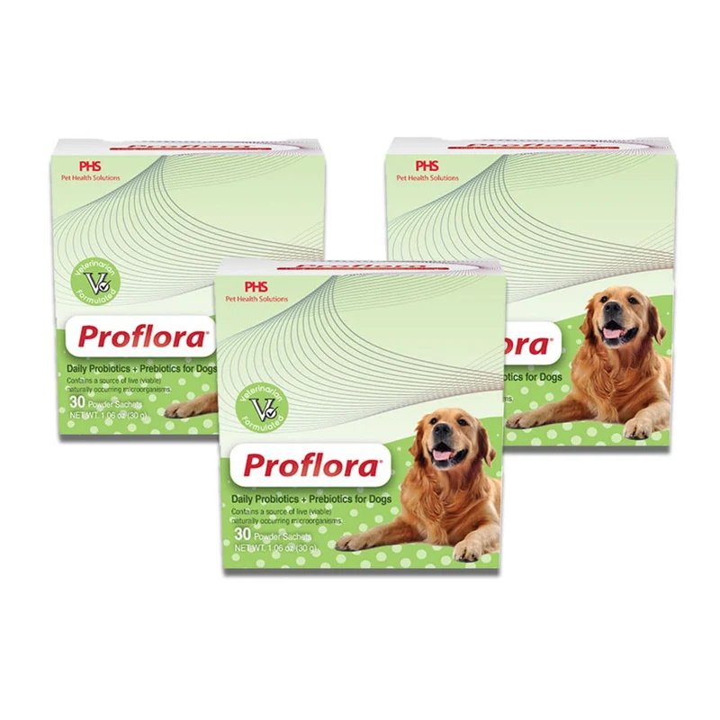 Proflora Probiotique pour Chiens — Digestion Saine, Immunité Renforcée, 90 Portions, Pack 3