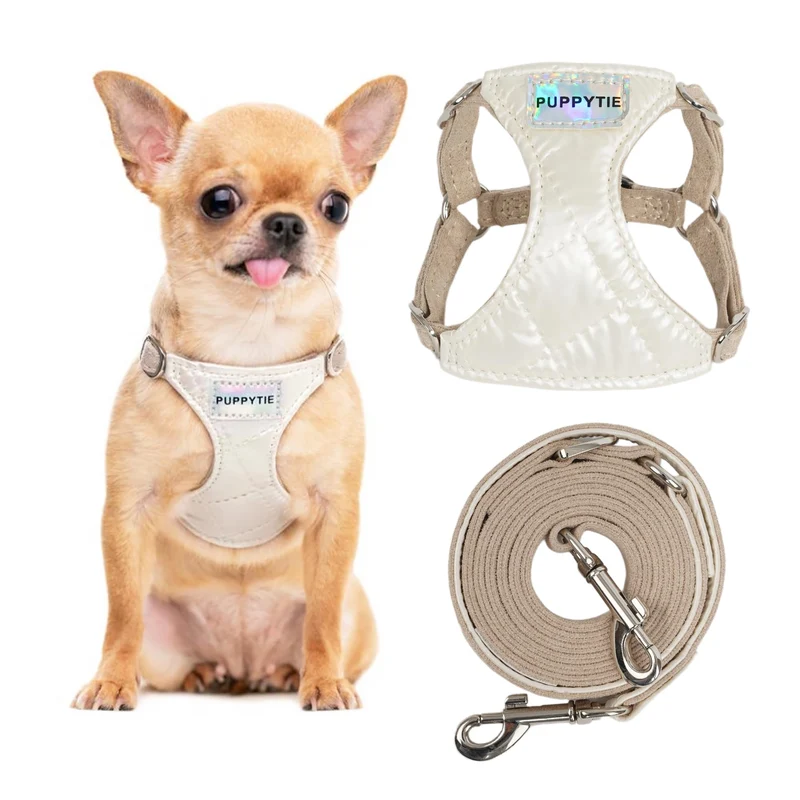 Puppytie Harnais Chien Moyen Sans Traction + Laisse Multifonction