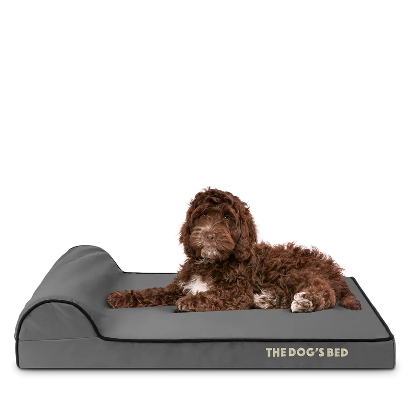 The Dog's Balls – Coussin orthopédique pour chien en mousse à mémoire avec têtière, tissu Oxford gris et bord noir, taille moyenne, épaisseur 3 pouces