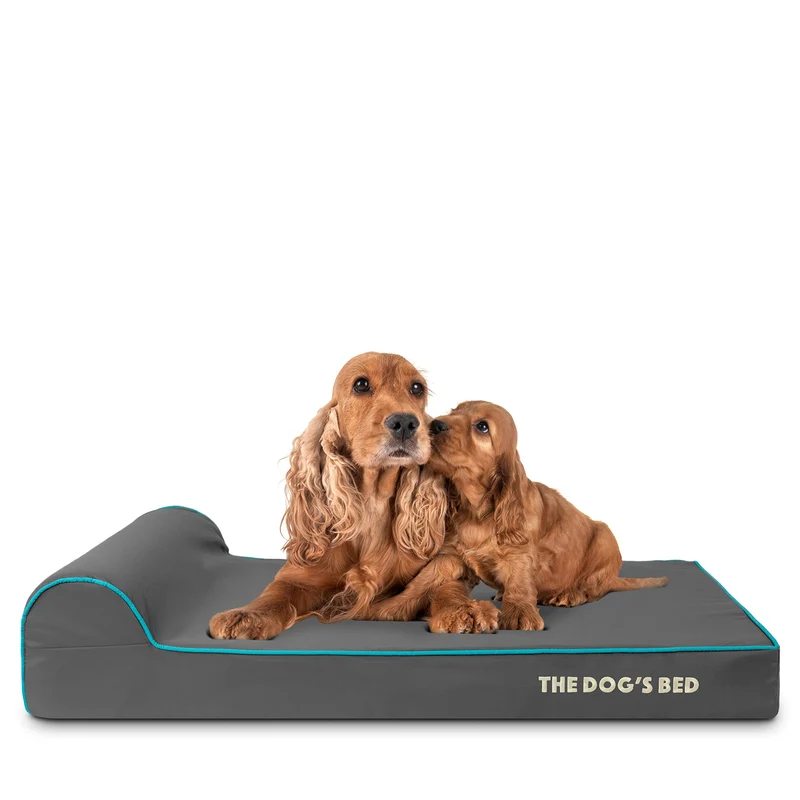 The Dog's Balls – Lit orthopédique pour chien en mousse à mémoire, tête de soutien, Oxford gris et bordure bleue | Grand, épaisseur 4 pouces