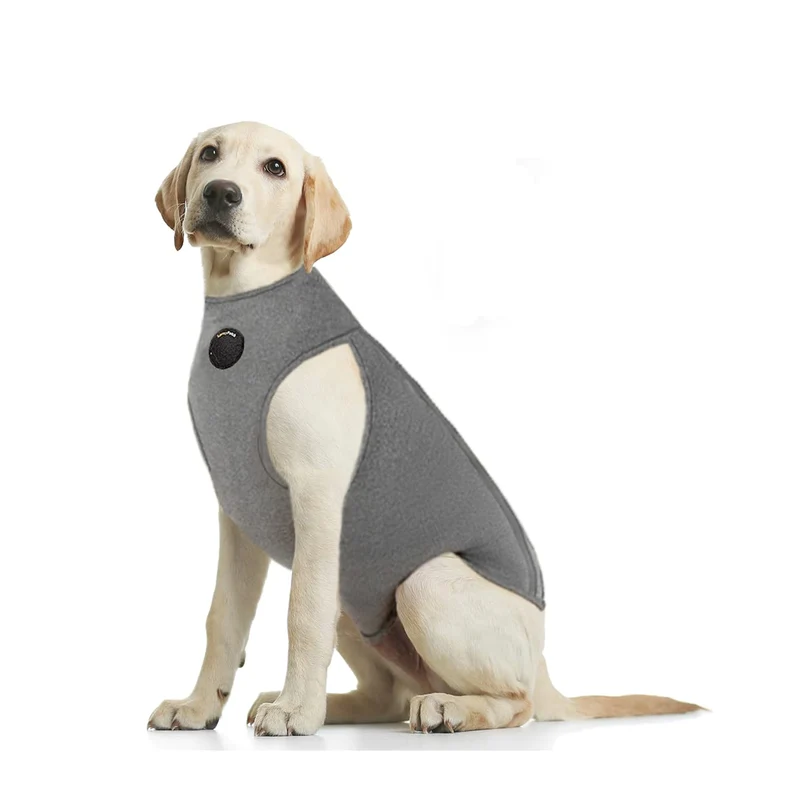 NeoAlly – Combinaison de récupération pour chien, alternative au cône, protection des plaies et anti‑léchage