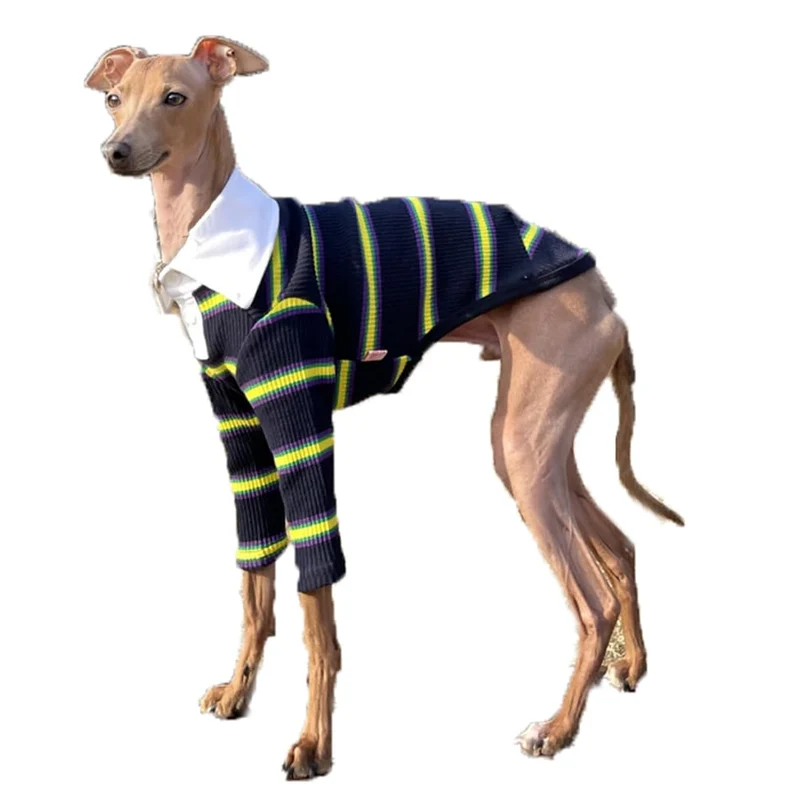Doggystar Vêtement pour Lévrier Italien et Whippet – Col côtelé Bleu Marine, 3XL