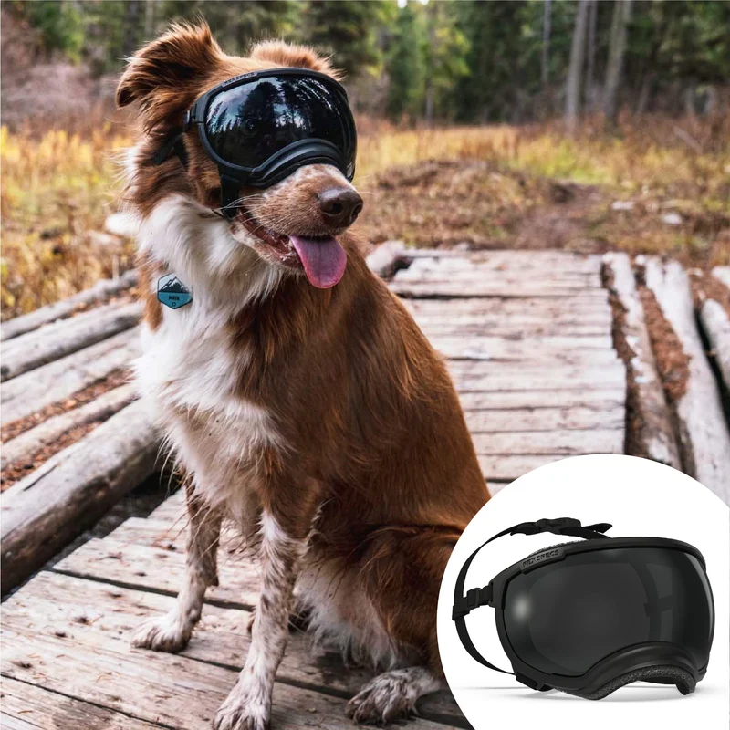 Rex Specs V2 Lunettes de Protection pour Chien - Grand Modèle, Noir