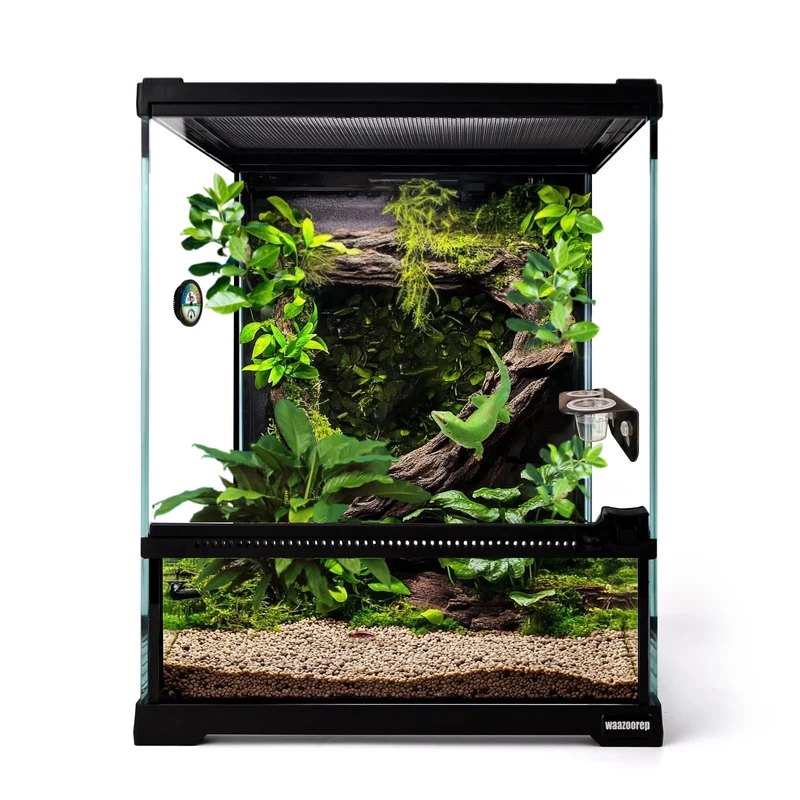 waazoorep Mini Terrarium en Verre 8x8x10 – Vue à 360° et Ouverture Frontale