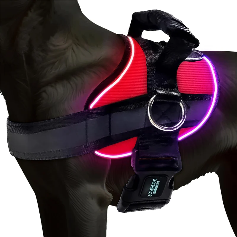 Joyride Harness DEL 2.0 – Harnais chien lumineux, 3 modes et étiquette personnalisable