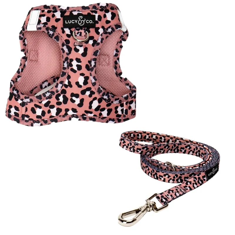 Lucy & Co. Wild Side Harnais & Laisse Step-In pour Chats – Réfléchissant, Respirant, Réglable – XS