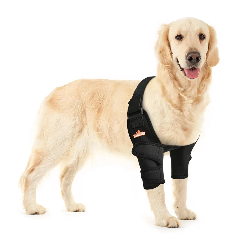 NeoAlly Attelle de Coude pour Chien — Soutien du Coude et de l'Épaule, Paire Taille M