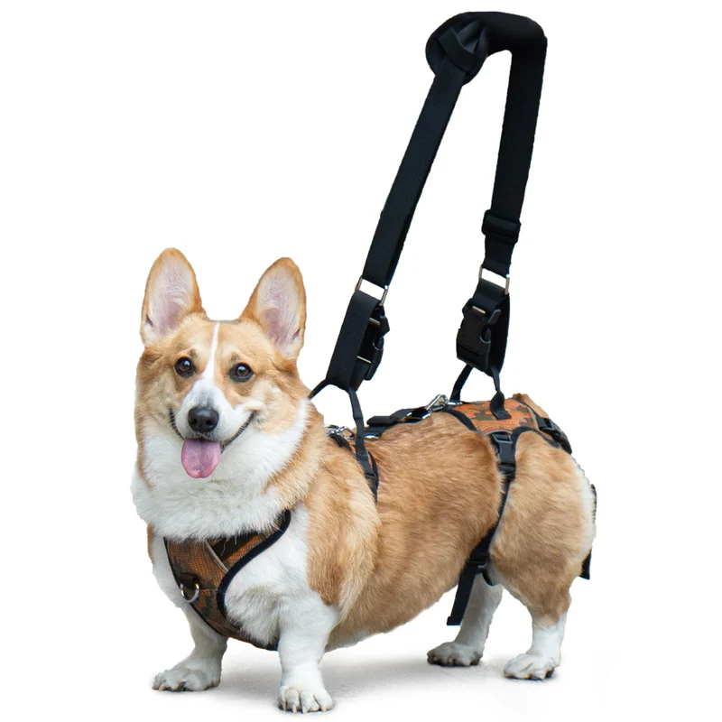 Harnais d’Aide pour Chien Dollephi – Portage et Levage, Orange, Taille Large