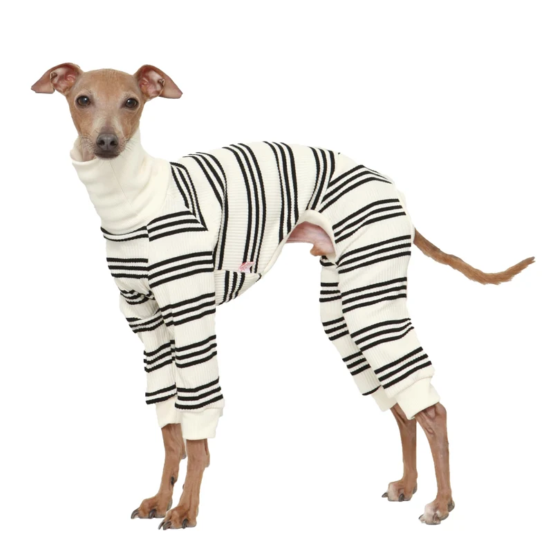 doggystar Combinaison pour chien lévrier italien – maille élastique rayures noires (M)