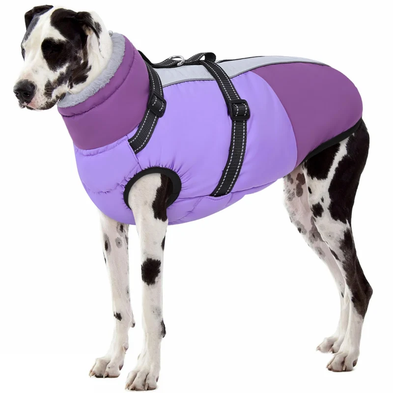 SUNFURA Manteau Chien XXXL avec Harnais Intégré – Imperméable, Fermeture Éclair et Réfléchissant Violet 3XL