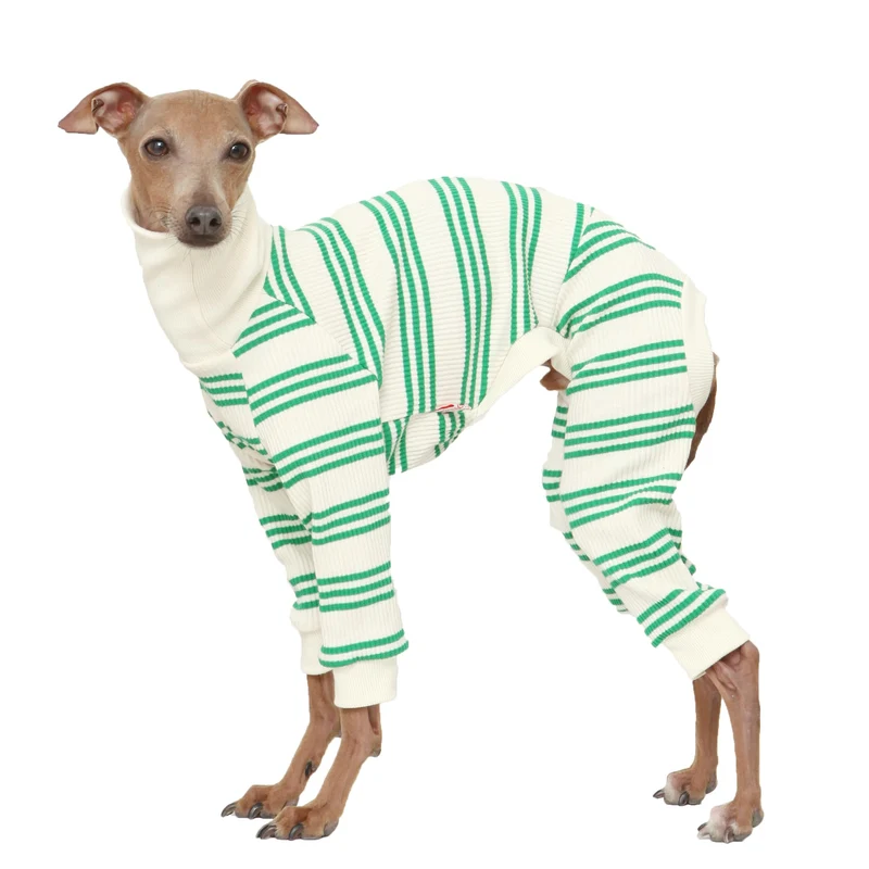 doggystar Combinaison douce et extensible pour chien – Rayure raffinée verte (L Onsi Vert)