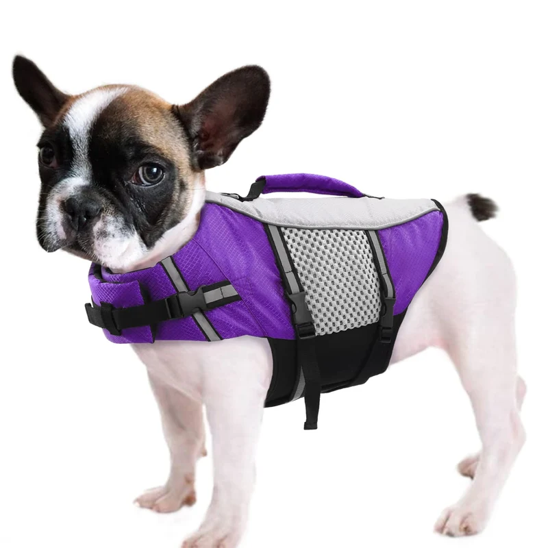 Queenmore Gilet de Sauvetage pour Chien — Léger, Haute Flottabilité, Poignée et Réfléchissant Violet