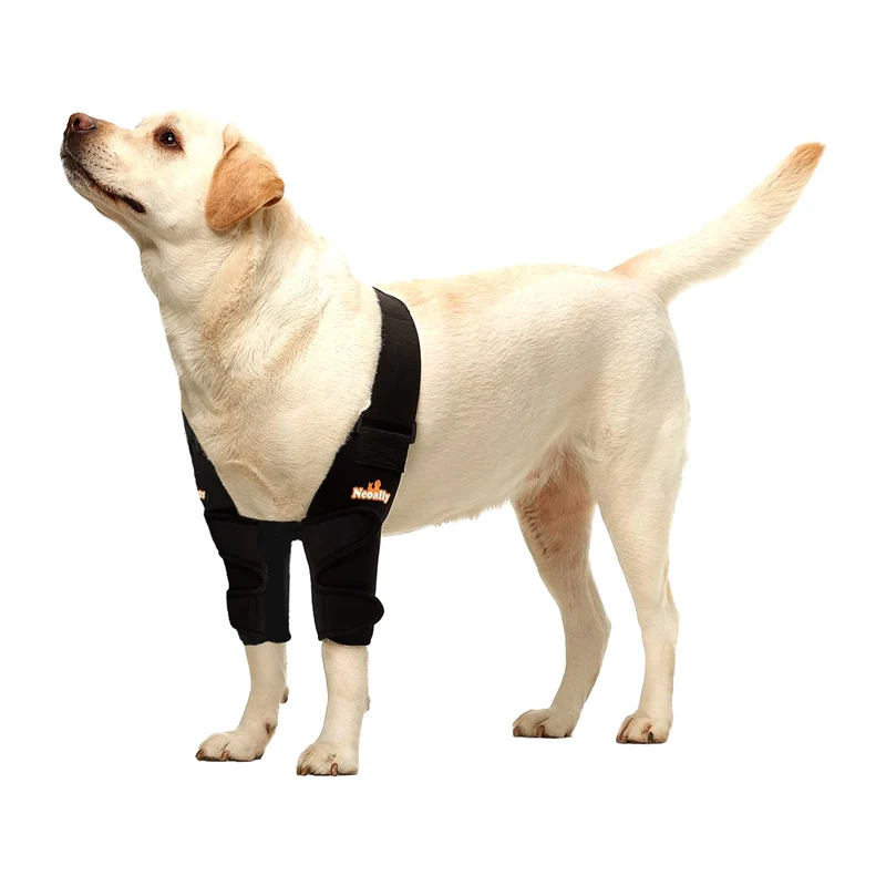 NeoAlly Attelle Coudes pour Chien – Soutien et Protection de l'Épaule et du Coude