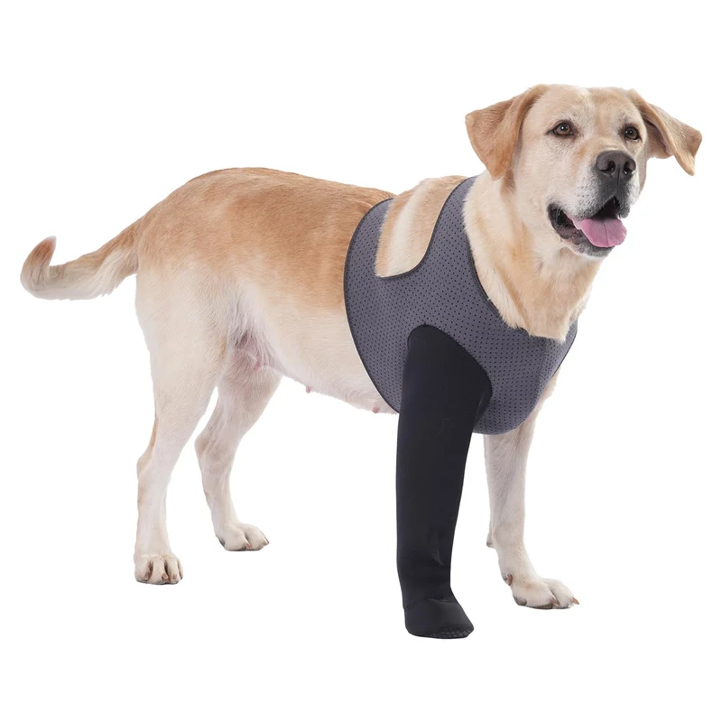 Grettytling Chaussettes pour chien – Prévention du léchage des pattes et protection post-opératoire (Taille M – Côté droit)