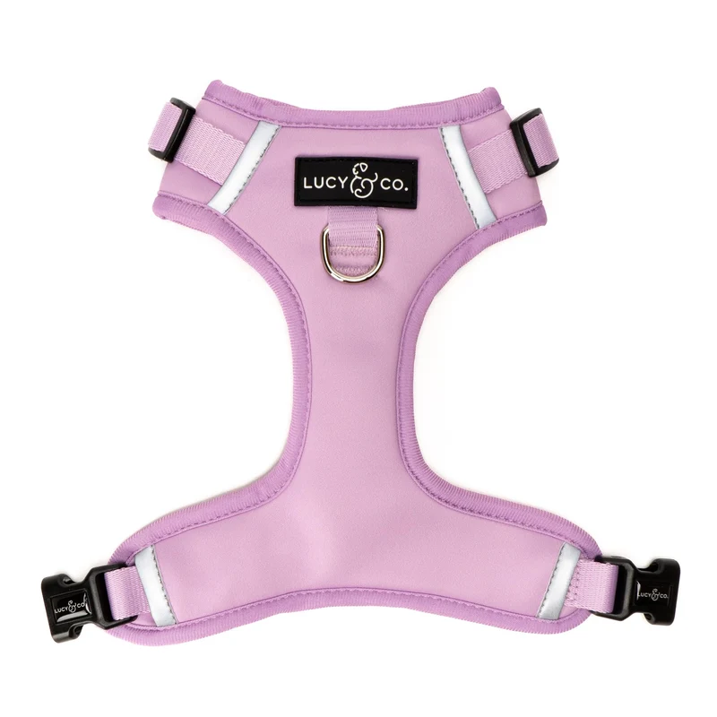Lucy & Co Harnais sans tirage Bouquet – Taille XS, confort et entraînement