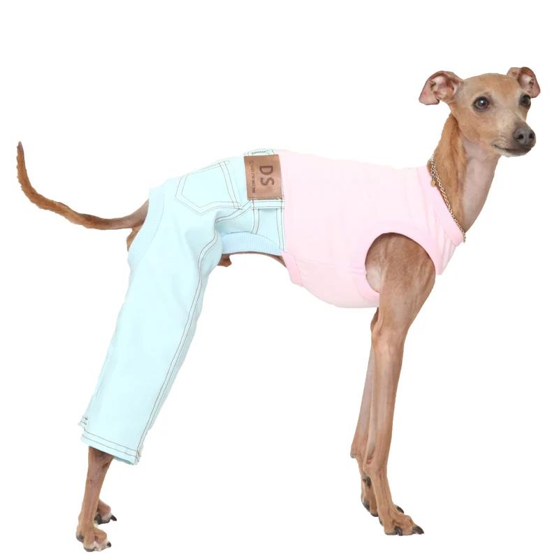 doggystar combi-jeans sans manches pour lévrier italien et whippet – bleu ciel – taille M