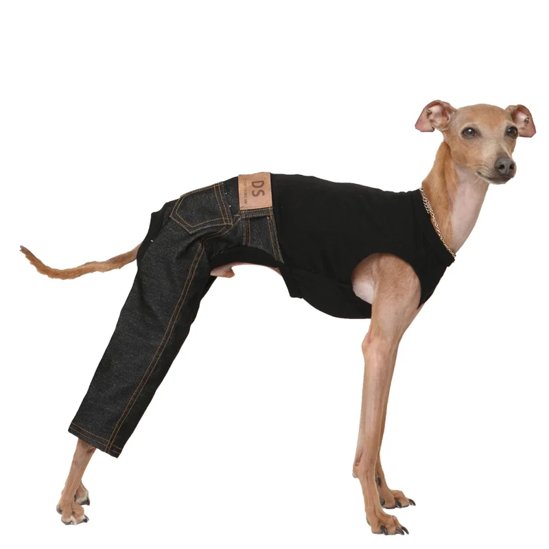 doggystar Vêtement jean sans manches pour lévrier italien et whippet – Noir Jean (XL)
