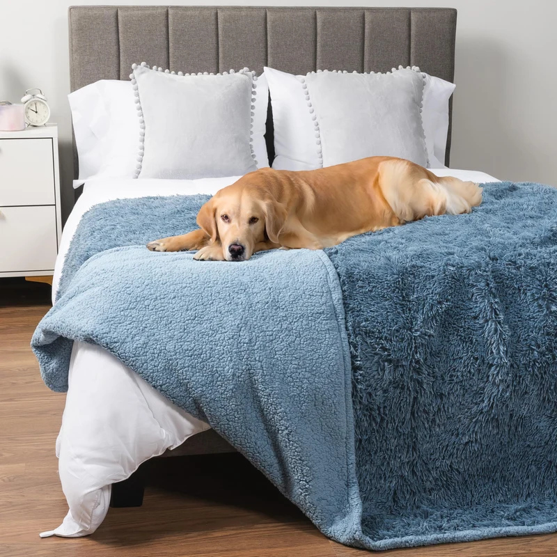 PetAmi Couverture Pour Chien Imperméable – Grand Chien, 60x80, Protège Canapé, Doux Sherpa Bleu Clair