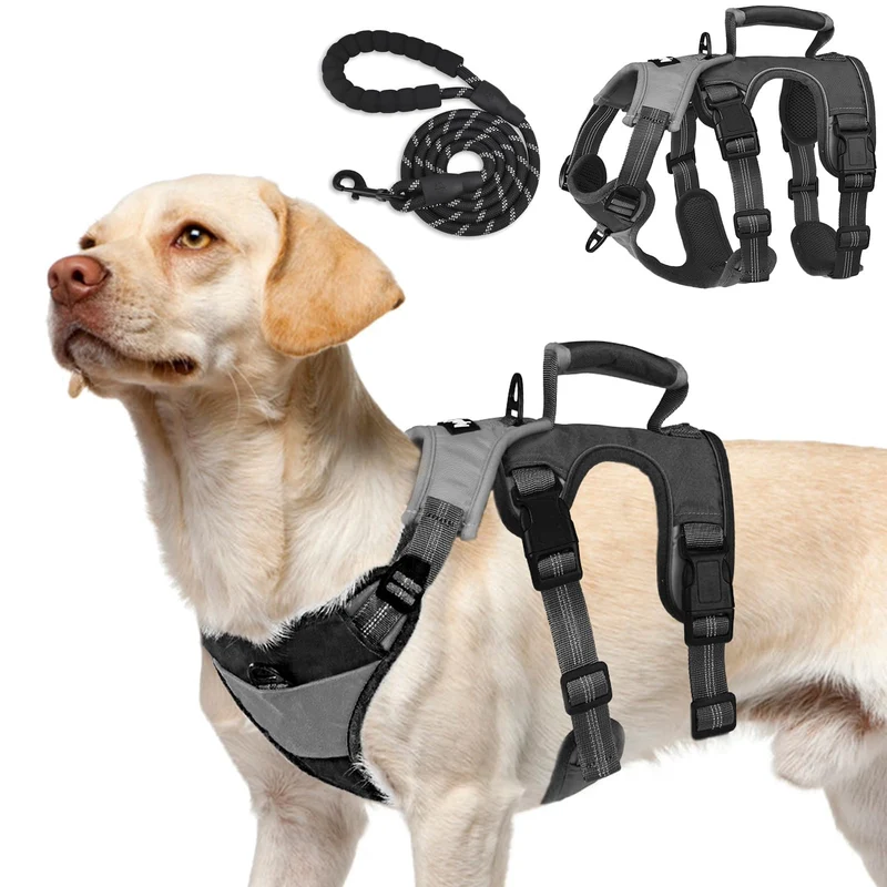 PUPTECK Harnais Chien Anti-Évasion avec Laisse et Poignée – Contrôle Sûr et Confort