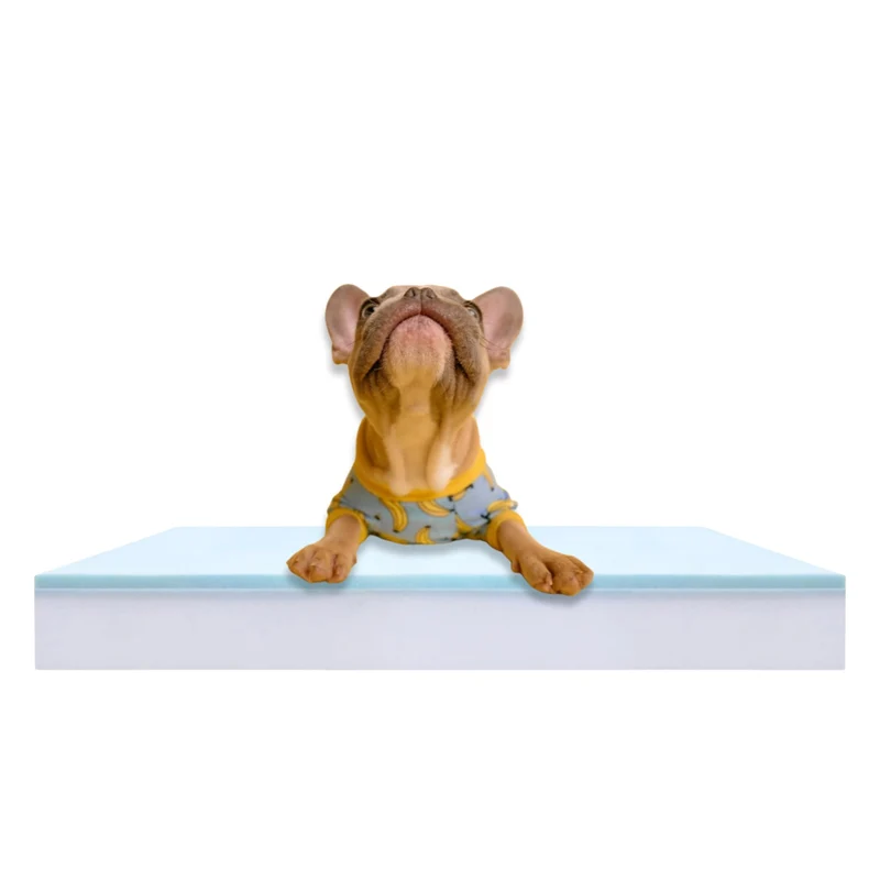 Foam Global – Coussin en Mousse Orthopédique pour Chien (3 po x 27 po x 41 po)