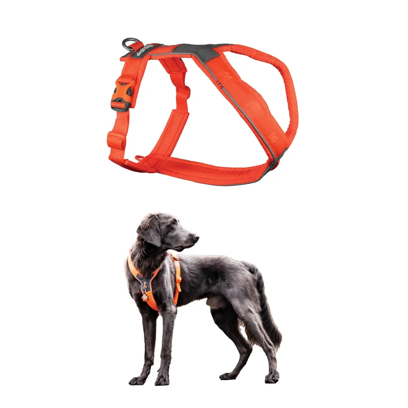 Non-stop dogwear Line 5.0 – Harnais rembourré pour grands chiens, randonnée et vie active