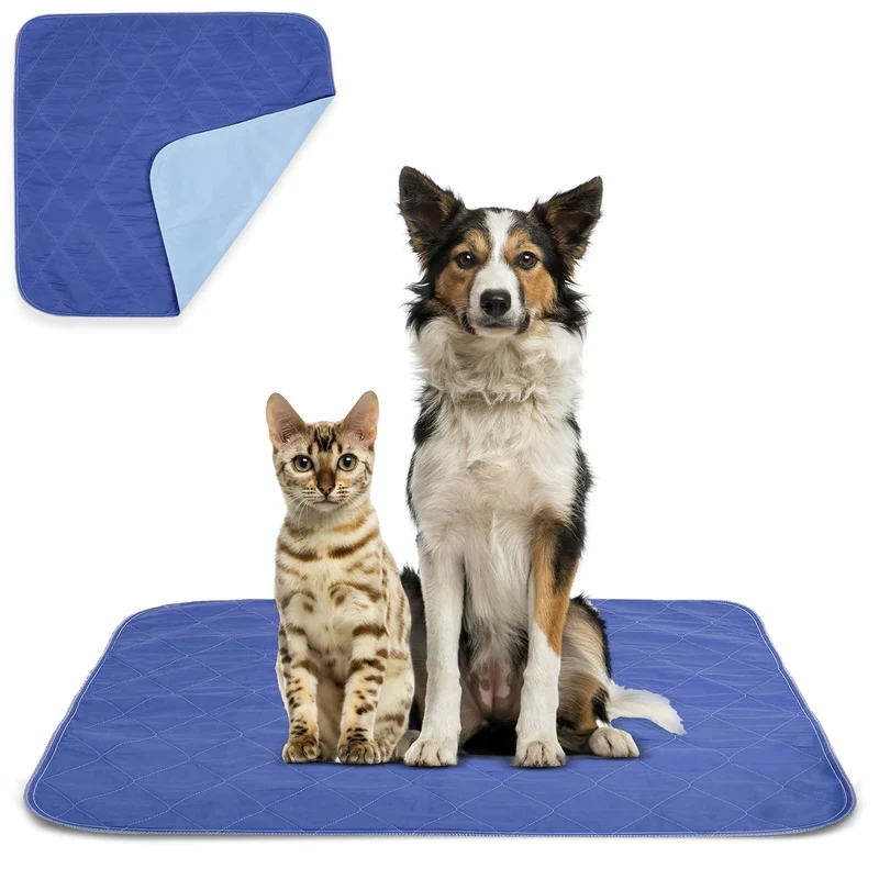 Beck’s Classic Tapis réutilisables USA – 2 packs (35x51 cm), anti-fuite avancé, indicateur d’humidité, 1 tapis = 500 jetables