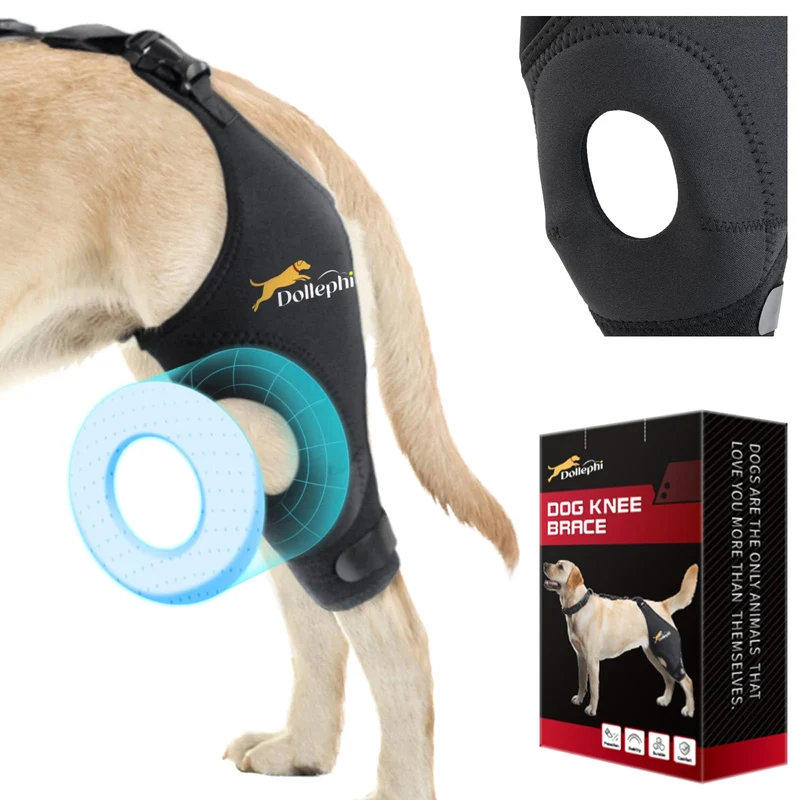Dollephi Orthèse Genou pour Chien – Stabilisation Rotule et LCA, Jambe Gauche, Taille L
