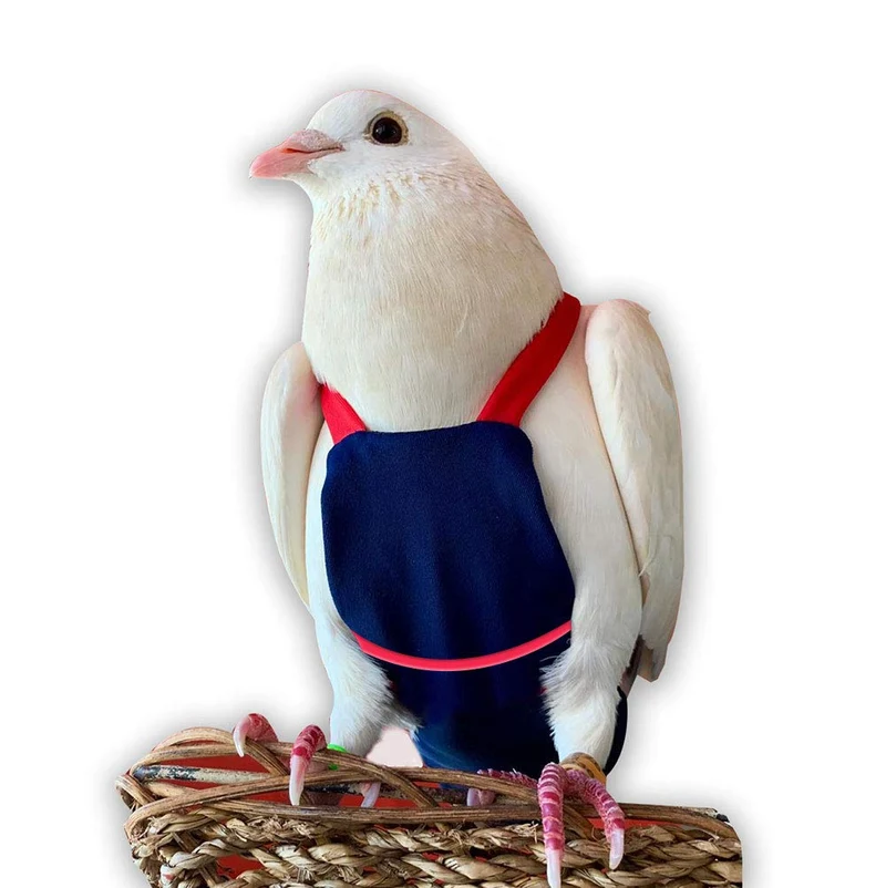 FLYPER Bev's Bird Boutique Diaper pour Oiseau — Couche Réutilisable, Confort Ajustable, Bleu Marine et Rouge, Taille 9