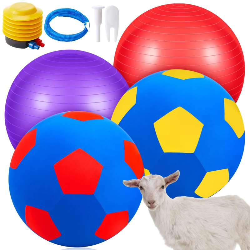 VercanMonth – 4 pièces balles chèvre 22 po avec housses et pompe (Rouge/Violet)