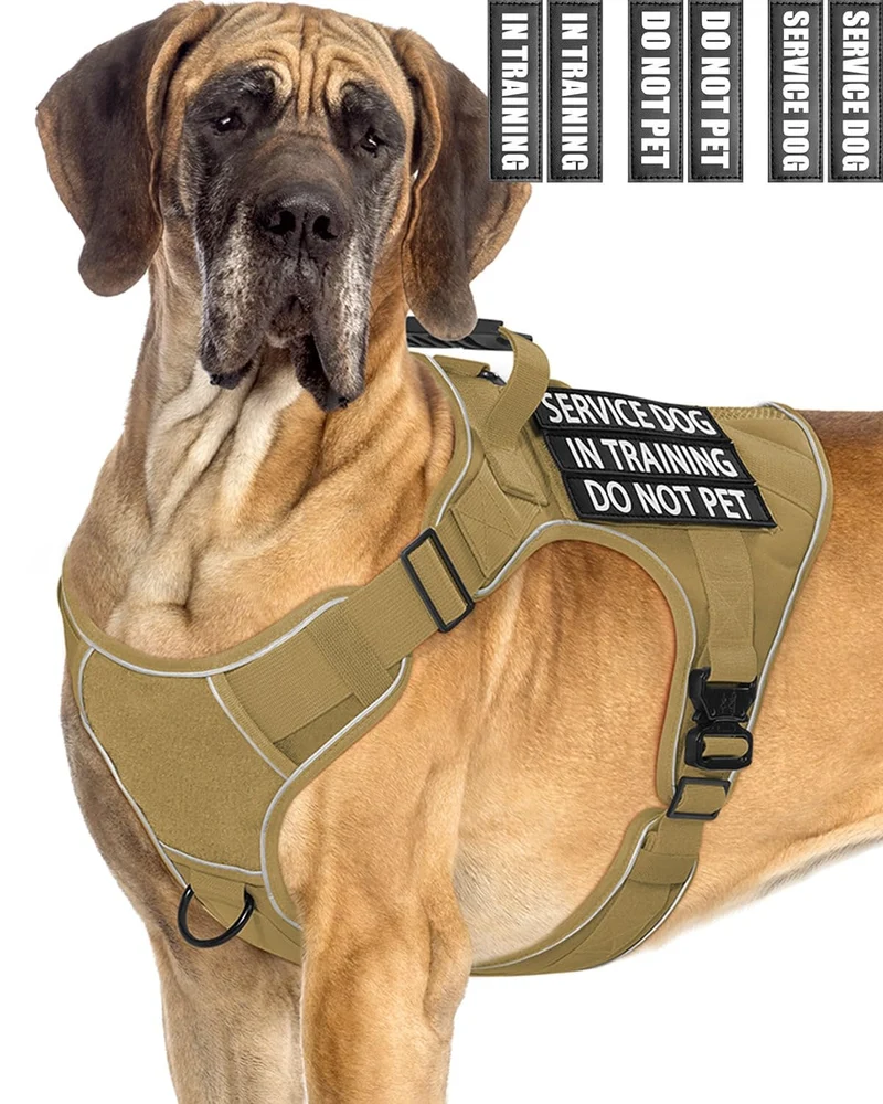 PawistaPal Gilet Chien en Formation – Harnais Réfléchi avec Anse, Patchs et Boucles Métalliques pour Grands Chiens