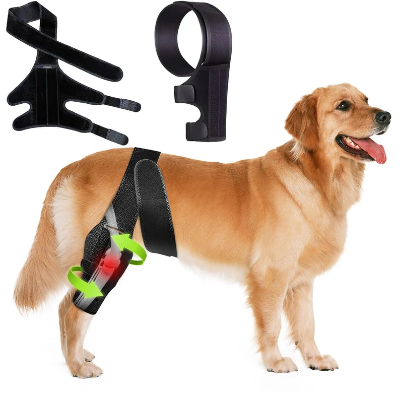 SHIUMORE Genou-Chien ACL/CCL – Orthèse ajustable (S) avec stabilisateurs latéraux et néoprène respirant