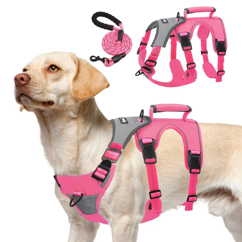 Harnais PUPTECK anti-échappement XL – chien moyen/grand, laisse 150 cm, réflectif, fuchsia