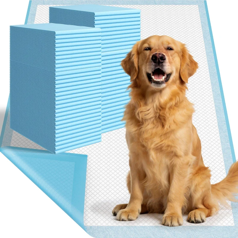 DS BATH Tapis Potty XL 31x36 – 60 Unités, 6 Couches, Absorption Rapide