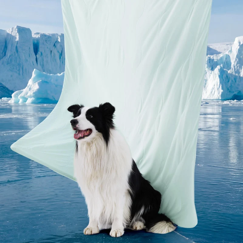 Bedsure Couverture Rafraîchissante pour Lit — Air-Core Respirant et Q-MAX > 0,4, Léger et Lavable (60x80 cm), Jade Pâle