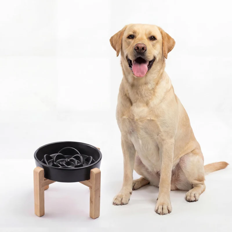 Bol ralentisseur en céramique pour chiens moyens et grands – Maze moderne, noir, 8-66 po