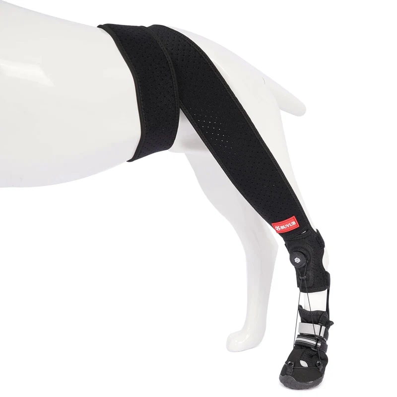 BUVUB Botte-arrière Attelle pour Chien — Dial Réglable et Stabilisation Triangulaire, Taille Moyenne (4)