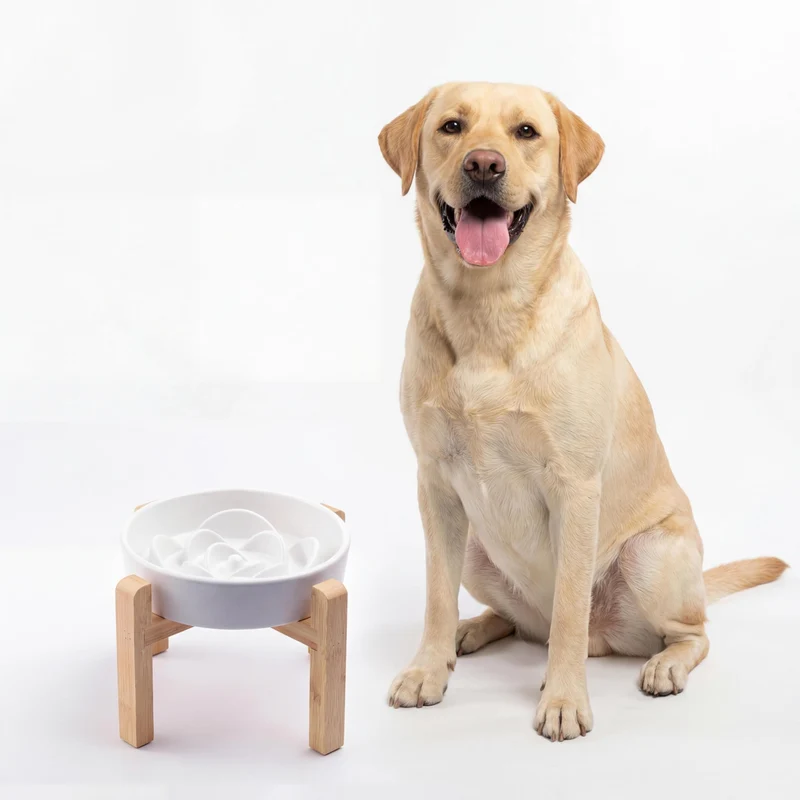 Bol Lentisseur en Céramique Generic pour Chiens Moyens et Grands – Labyrinthe Moderne, Support en Bambou, Blanc, Diamètre 22 cm