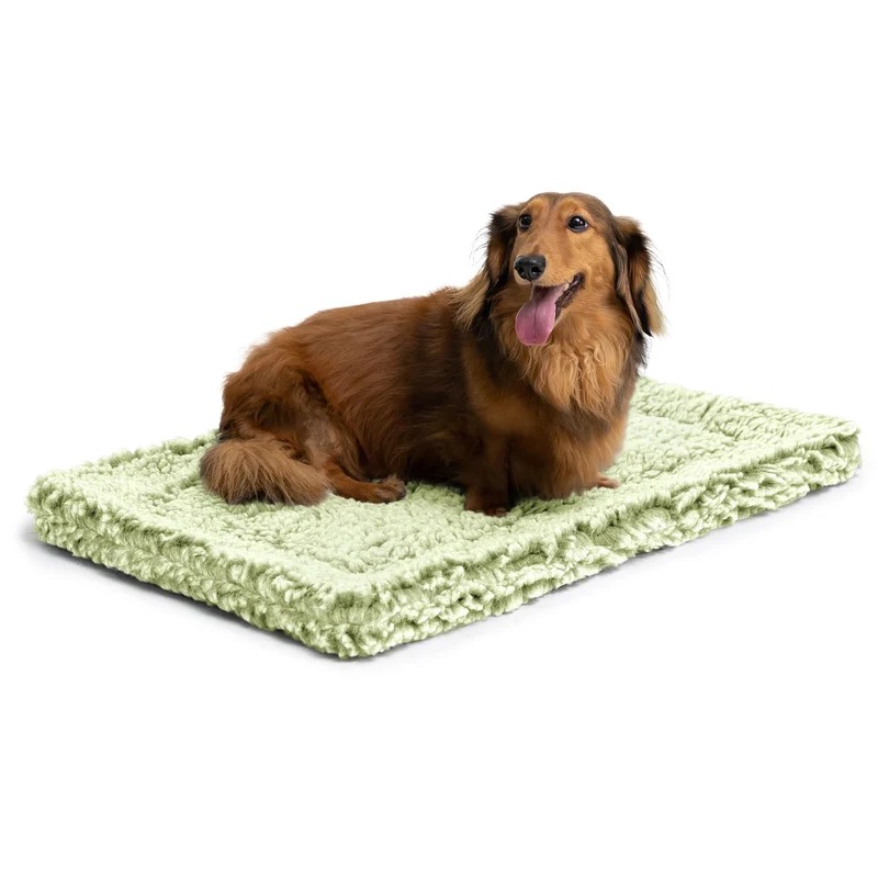 PELZIN Stoutwool Tapis Indestructible pour Chien – Coussin Antimorsures Lavable, Compatible Caisse 24'' (23x16 po) – Gleam