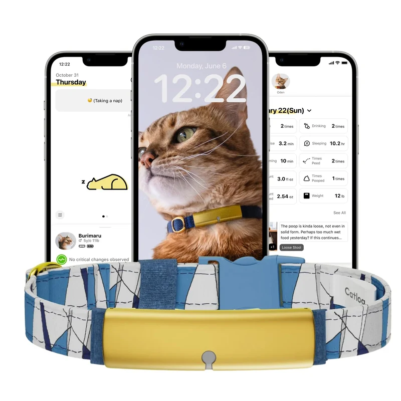 Catlog Health Tracker pour Chats – Collier Intelligent Indoor, Boucle de Sécurité, Alertes Bien‑Être (Wave Bleu, XS)