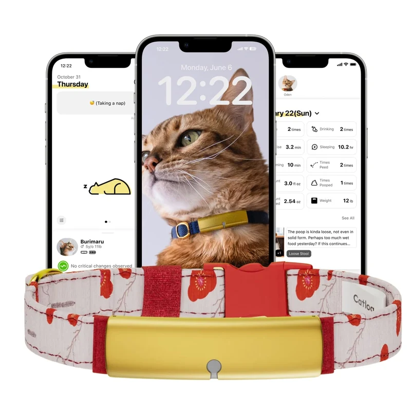Catlog Health Tracker pour Chats – Collier Intelligent avec Boucle de Securite (Kimono Ume, XS)