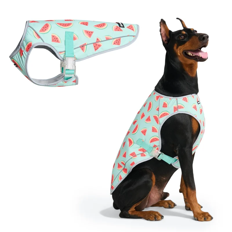 Spark Paws Gilet Refroidissant pour Chien - SPF50 UV, Watermelon, Taille 4XL