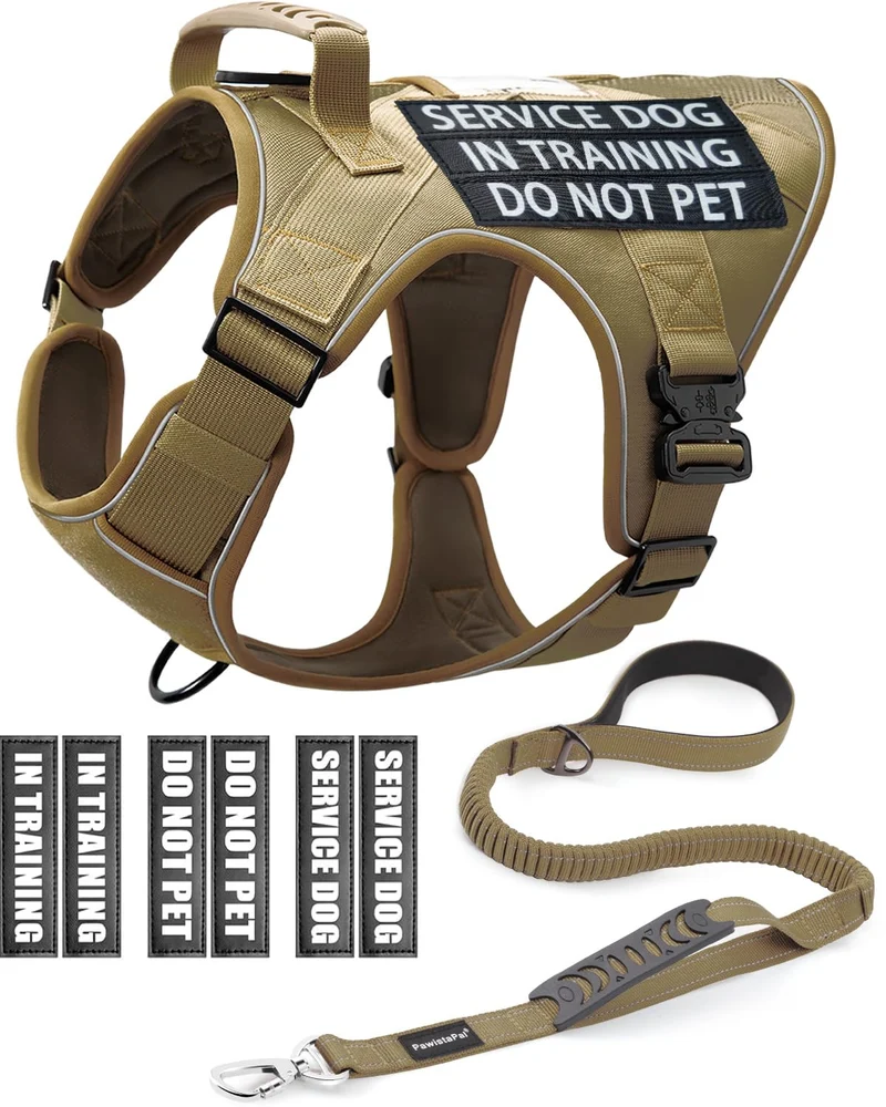 PawistaPal — Ensemble Harnais et Laisse pour Chien en Formation (Moyen) avec Poignée, Patches et Boucles Métalliques