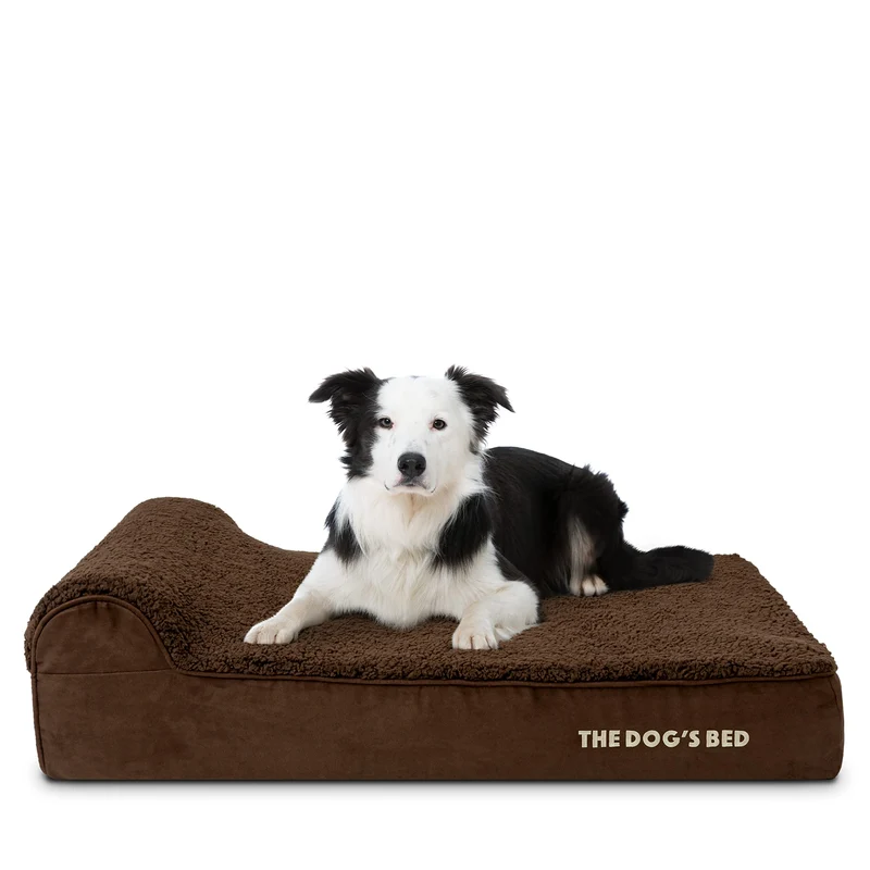 The Dog's Balls – Lit orthopédique pour chien en mousse à mémoire de forme, dossier rembourré, brun plush, grand, 6 pouces