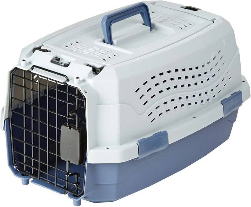 Amazon Basics Transporteur Rigide à Deux Portes – Chats et Petits Chiens, 19 po × 12,6 po × 10 po, Gris et Bleu