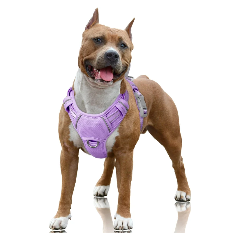 Harnais BarkBay anti-tirage pour chien — clip avant, poignée de contrôle, poche ID (violet, L)