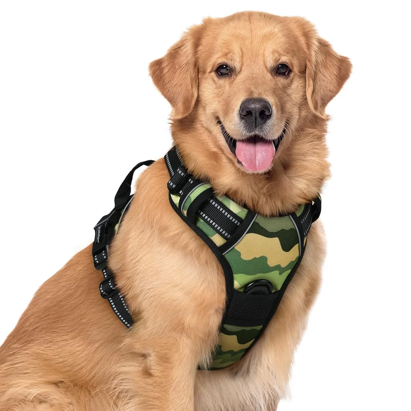 rabbitgoo Harnais chien sans tirage Green Mountain XL – 2 attaches, rembourré, sécurité réfléchissante