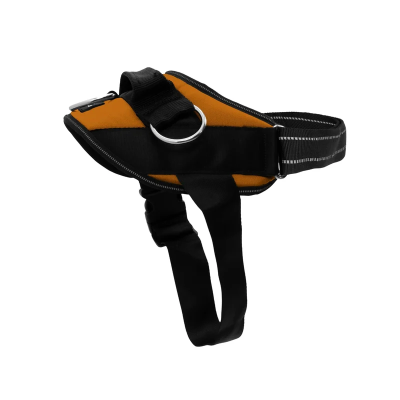 ShawnCo Harnais Chien Essential – Anti-Tirage, 3 Points d’Attache, Réfléchi, Ajustable (Orange coucher du soleil), Taille S
