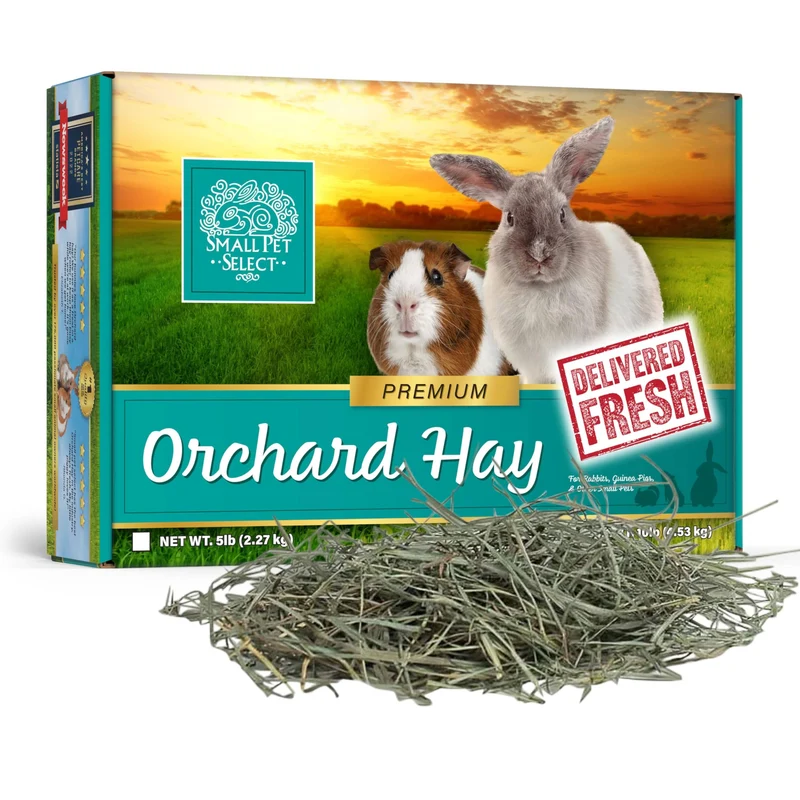 Small Pet Select – Foin d’Herbe de Verger Premium pour Lapins, Cobayes et Chinchillas – 5 lb, Cultivé aux États‑Unis