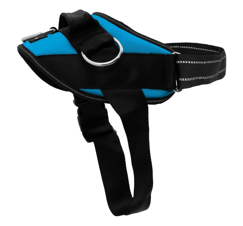ShawnCo Harnais Essential pour chien – Anti-Tirage, 3 Points d’Attache, Réfléchissant, Ajustable – Ocean Bleu, Taille L